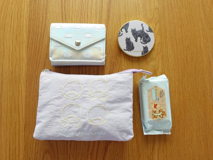 ディズニー持ち物