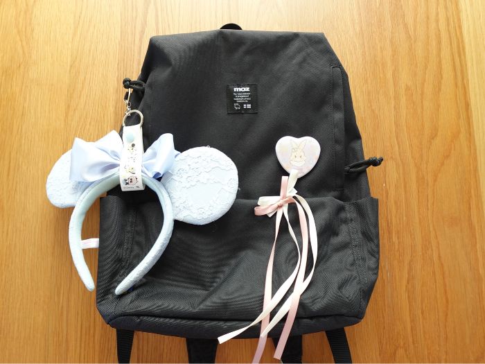 ディズニーに持ち込むリュック