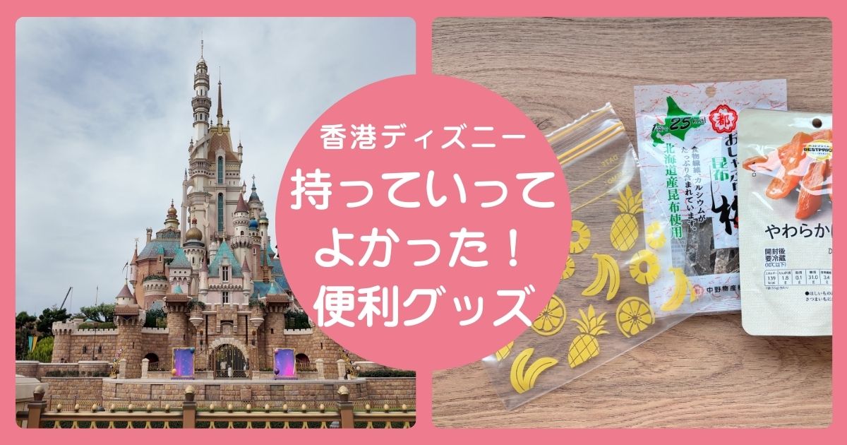 香港ディズニーランドに持っていってよかった便利グッズ記事