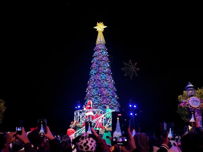 香港ディズニーランドのクリスマスツリー点灯式