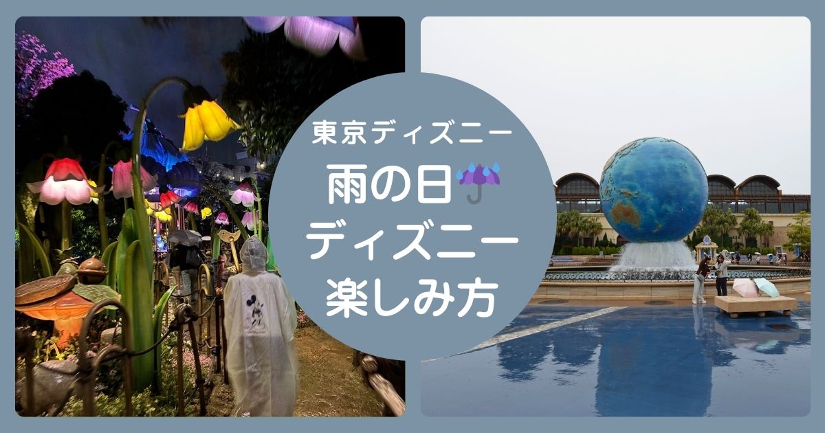 雨の日ディズニー楽しみ方