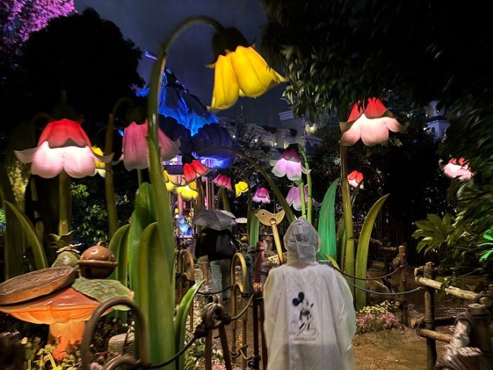 ディズニーの雨の日の楽しみ方