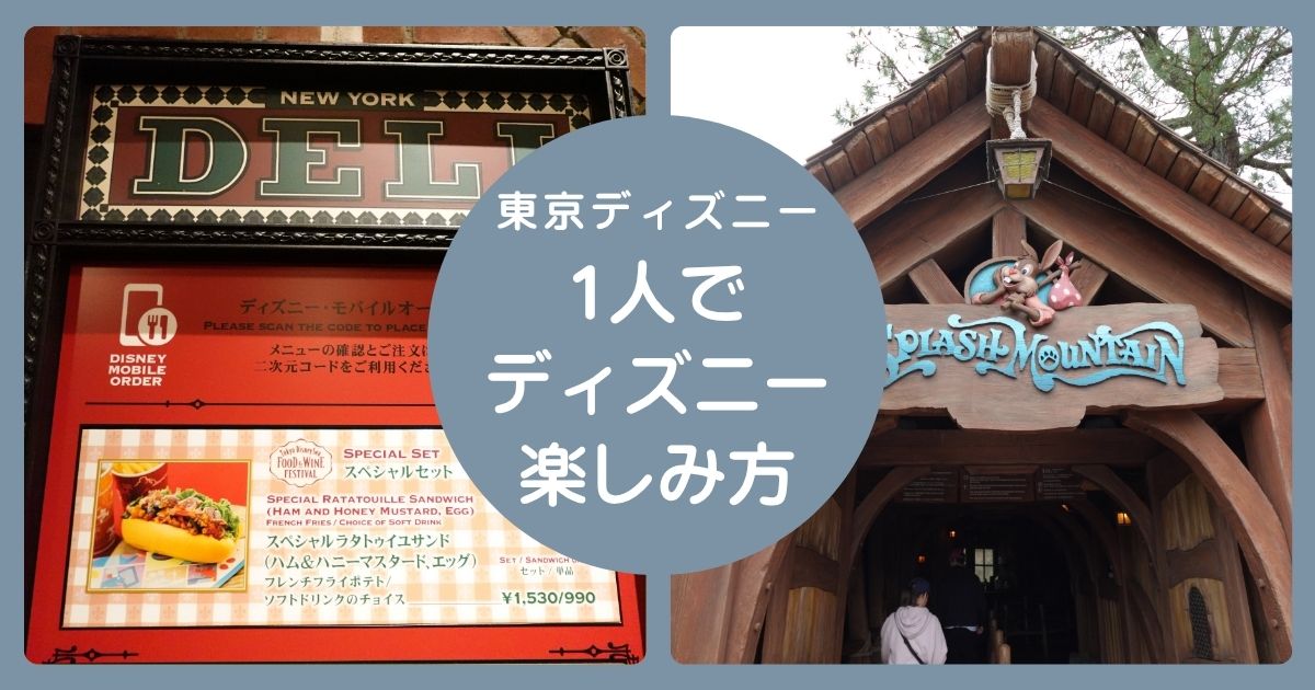 1人でディズニー楽しみ方