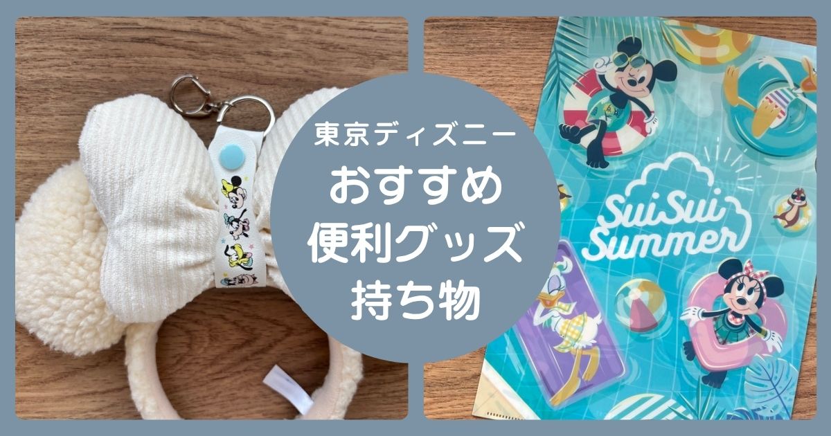 東京ディズニーおすすめ便利グッズ