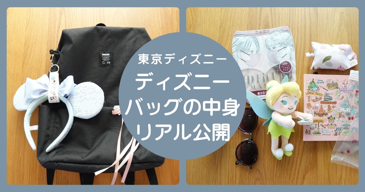 ディズニーに持って行くバッグの中身リアル公開